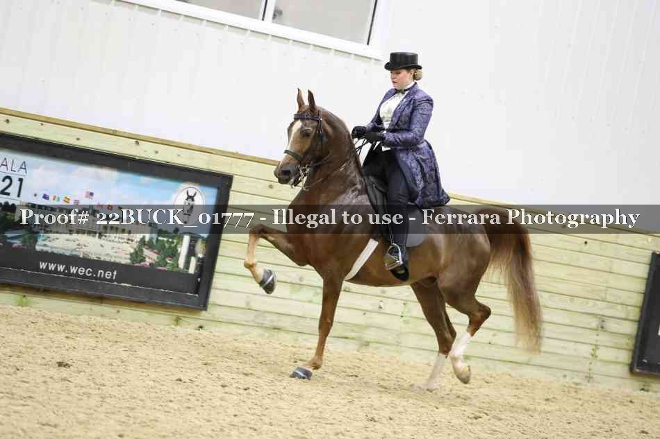 Proof 22BUCK_01777
