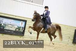 22BUCK_01777 proof