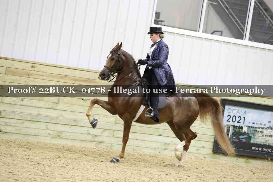 Proof 22BUCK_01778
