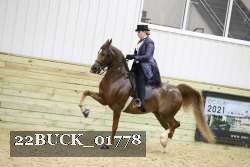 22BUCK_01778 proof