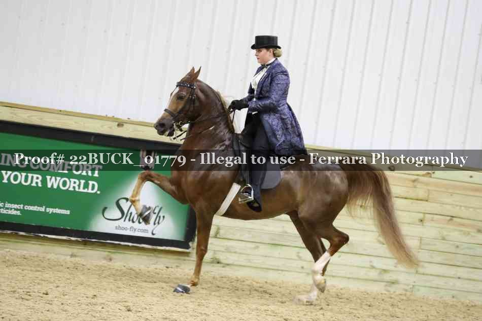 Proof 22BUCK_01779