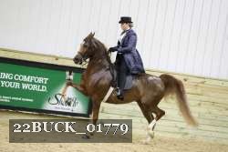 22BUCK_01779 proof