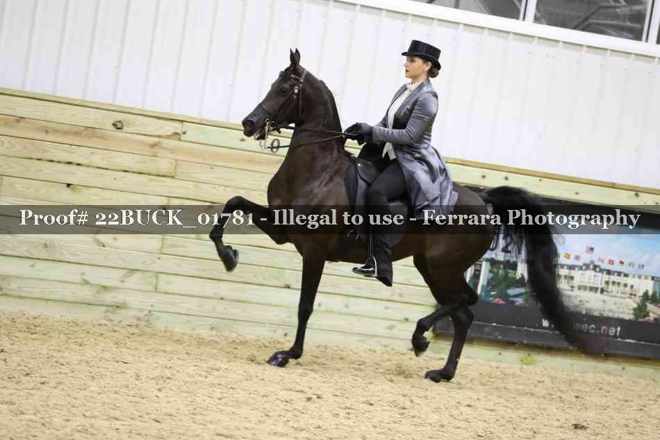 Proof 22BUCK_01781