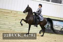 22BUCK_01781 proof