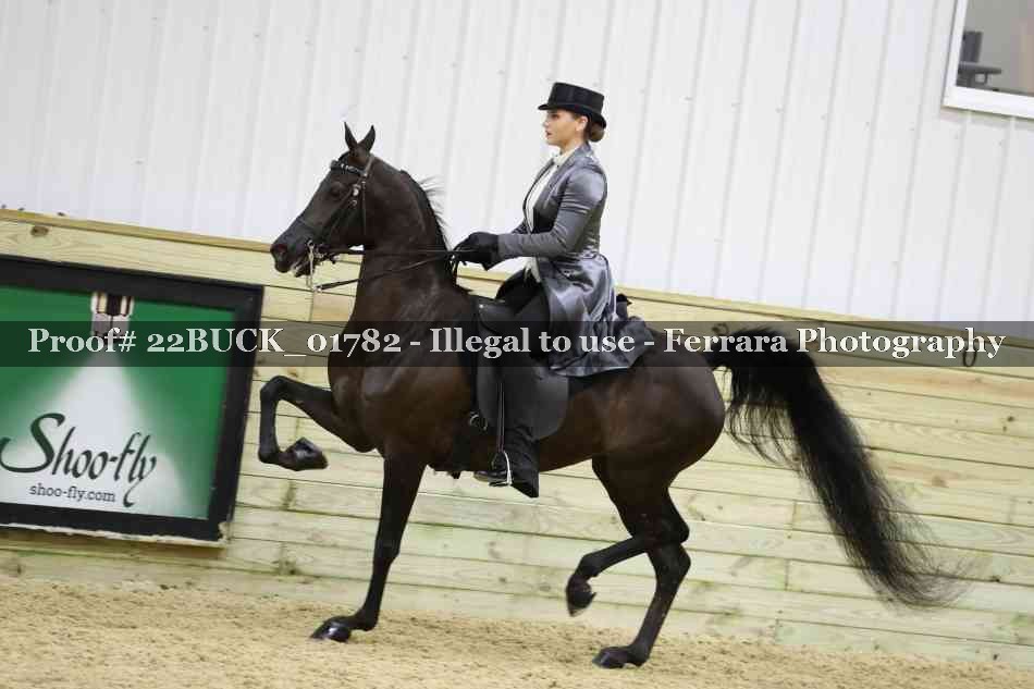 Proof 22BUCK_01782
