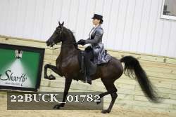 22BUCK_01782 proof