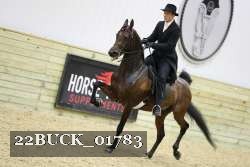 22BUCK_01783 proof
