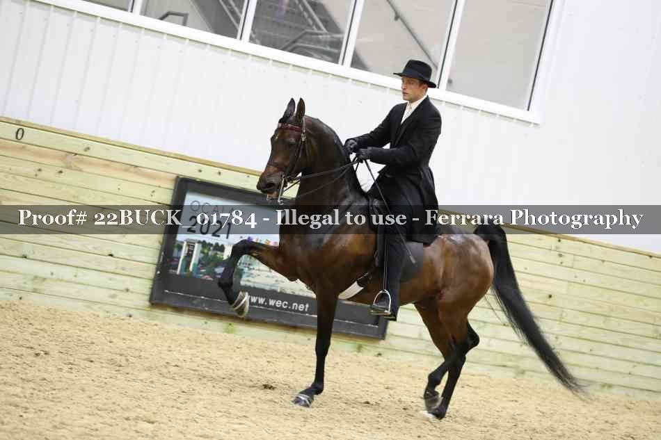 Proof 22BUCK_01784