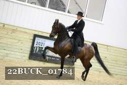 22BUCK_01784 proof