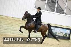 22BUCK_01785 proof
