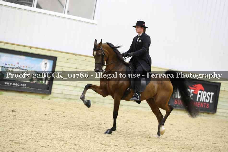 Proof 22BUCK_01786