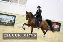 22BUCK_01786 proof