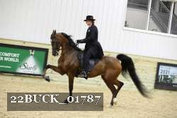 22BUCK_01787 proof