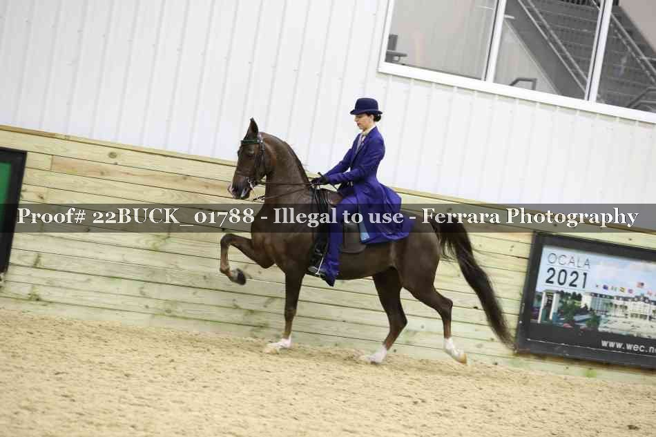 Proof 22BUCK_01788
