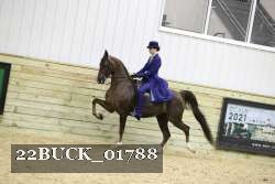 22BUCK_01788 proof
