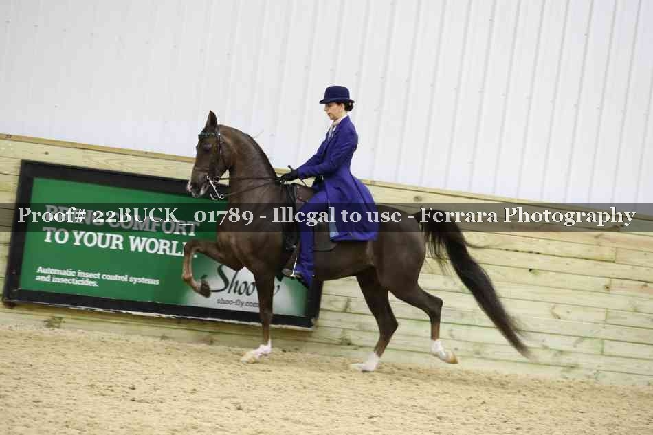 Proof 22BUCK_01789