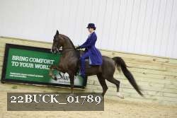 22BUCK_01789 proof
