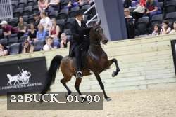 22BUCK_01790 proof