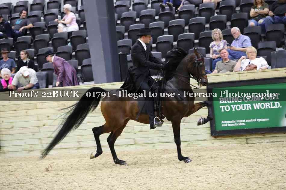 Proof 22BUCK_01791