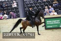 22BUCK_01791 proof