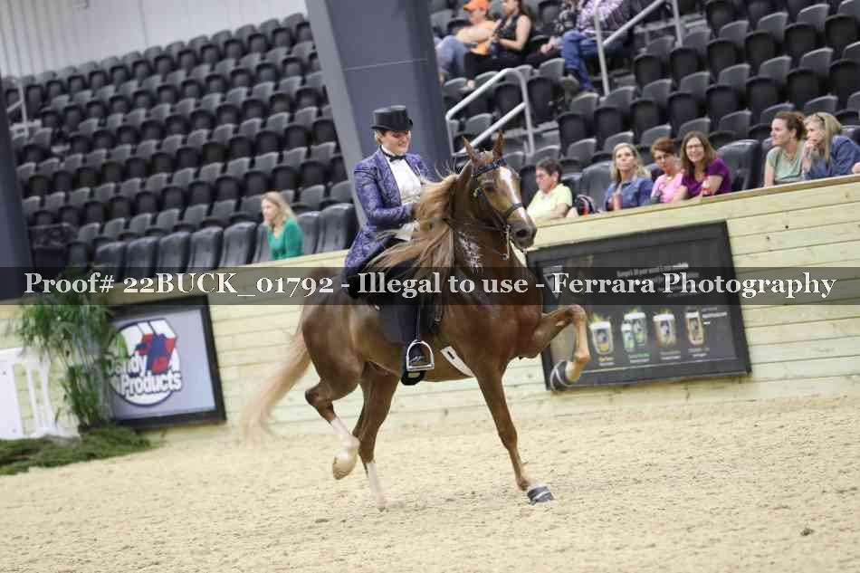 Proof 22BUCK_01792