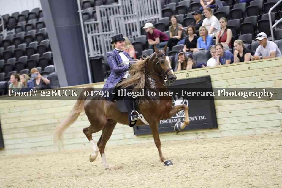 Proof 22BUCK_01793