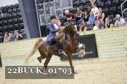 22BUCK_01793 proof