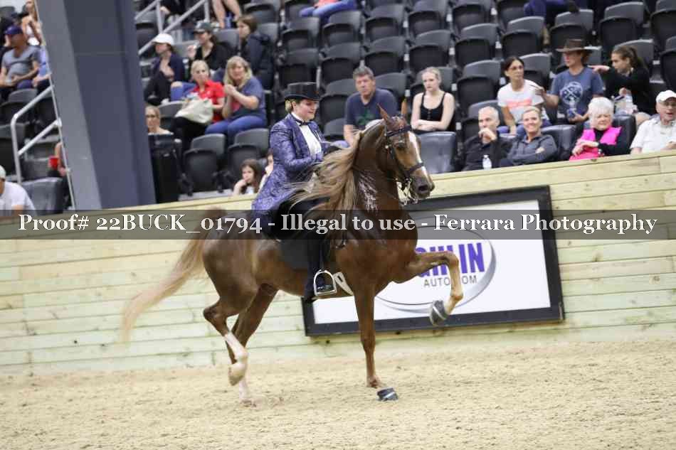 Proof 22BUCK_01794