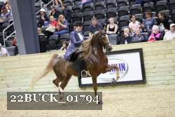 22BUCK_01794 proof