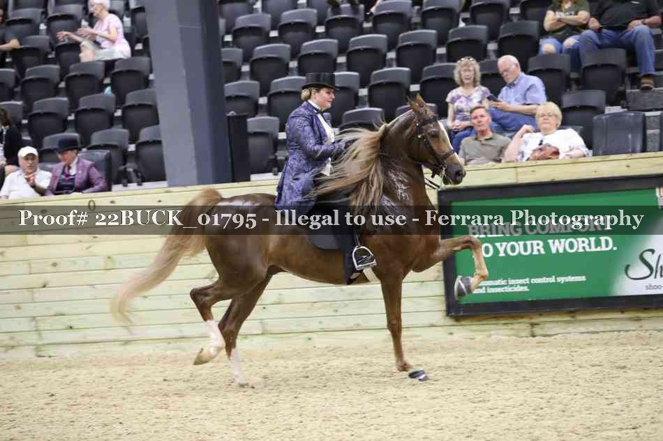 Proof 22BUCK_01795