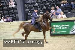 22BUCK_01795 proof