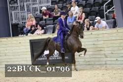 22BUCK_01796 proof