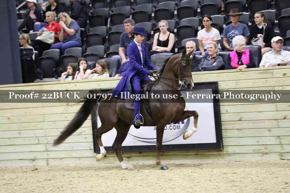 Proof 22BUCK_01797