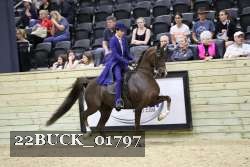 22BUCK_01797 proof