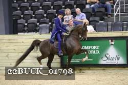 22BUCK_01798 proof
