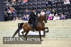 22BUCK_01799 proof