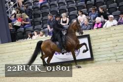 22BUCK_01801 proof