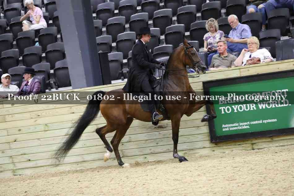 Proof 22BUCK_01802