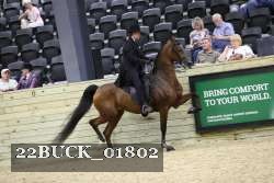22BUCK_01802 proof