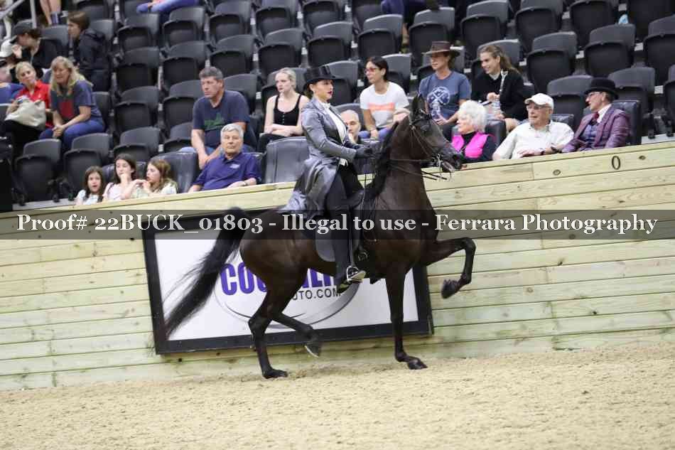 Proof 22BUCK_01803