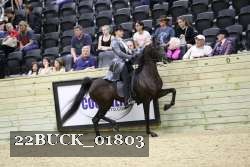 22BUCK_01803 proof