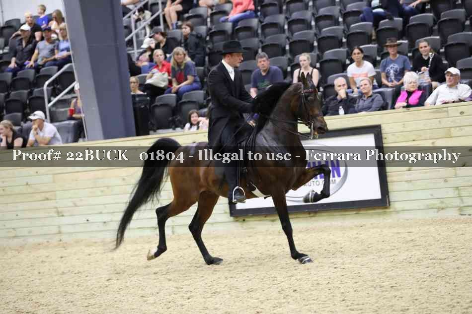 Proof 22BUCK_01804