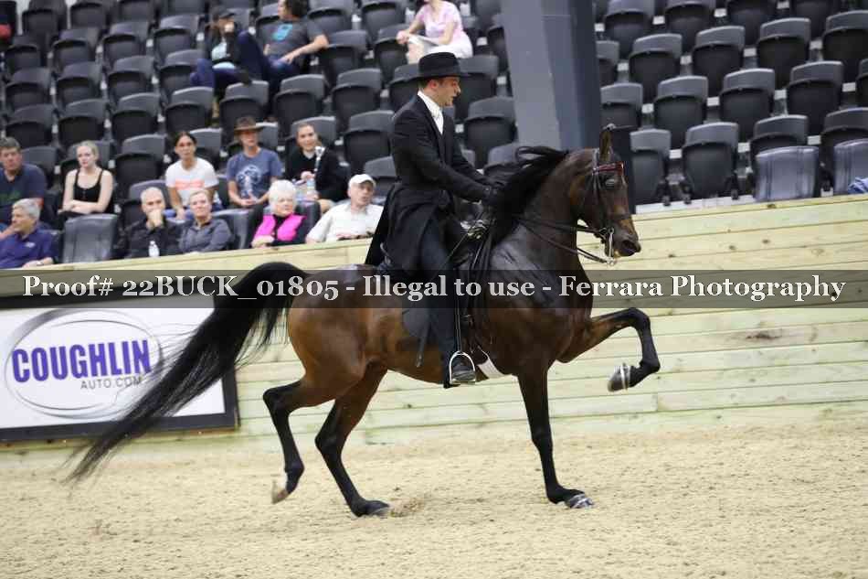 Proof 22BUCK_01805