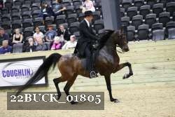 22BUCK_01805 proof