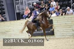 22BUCK_01806 proof