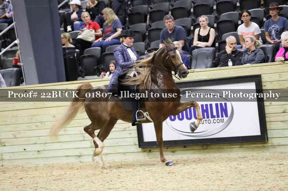 Proof 22BUCK_01807