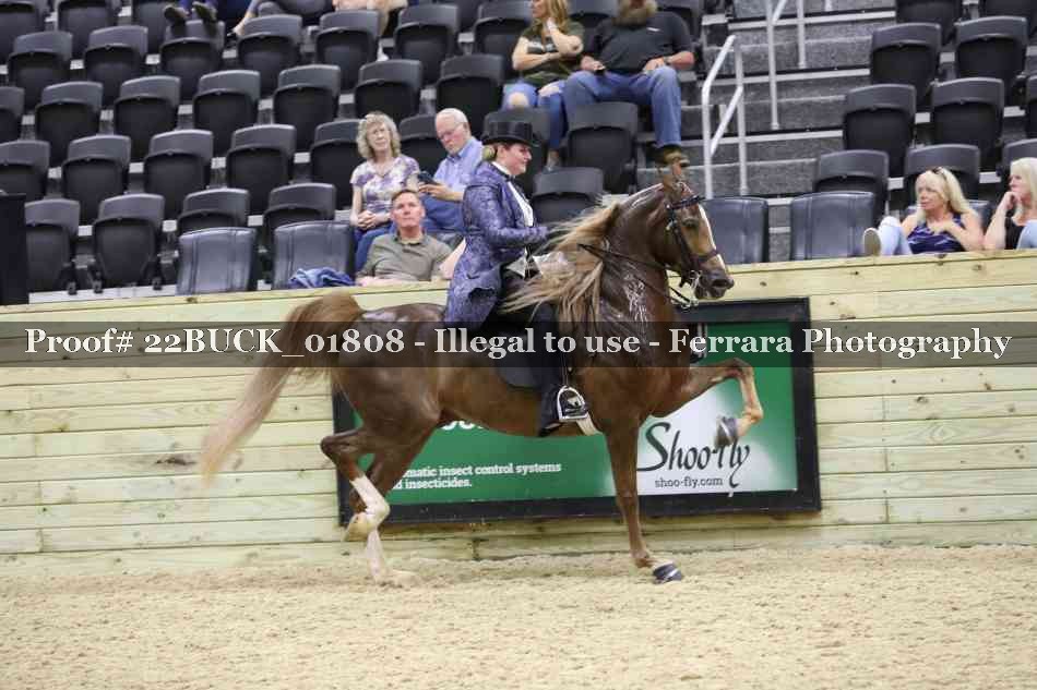 Proof 22BUCK_01808