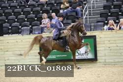 22BUCK_01808 proof