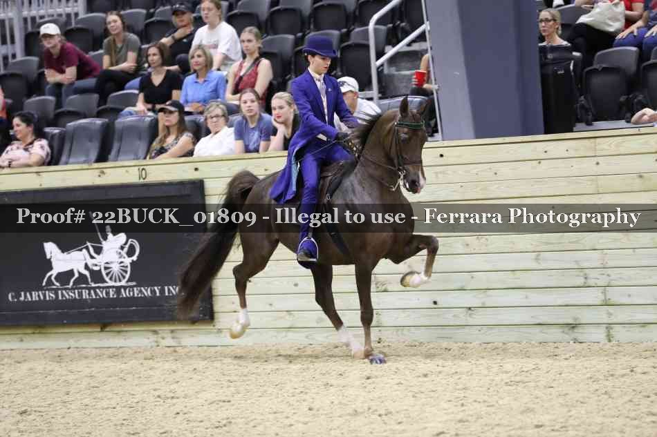 Proof 22BUCK_01809