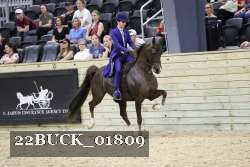 22BUCK_01809 proof